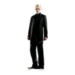 STAR CUTOUTS SC1655 Draco Malfoy Cardboard (Harry Potter Star Mini Tom Felton Cutout), Solid, Multicolour, Regular