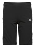 Cycling Shorts Black Adidas Originals