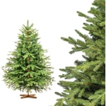 FairyTrees Sapin de Noël Artificiel 180 cm Arbre de Noël avec support en Bois Sapin des Alpes éléments moulés par Injection