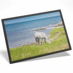  Grey Connemara Pony Horse Water Resistant Mouse Mat Table Place 8 x 10" #2282