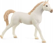 Schleich Horse Club Arabian Stallion, White, 5 År, Beige, Vit