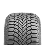 Maxxis Premitra Snow WP6 205/60R16 96H XL odubbade