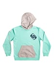 Quiksilver Colour Flow - Sweat à Capuche pour Garçon 8-16 Ans