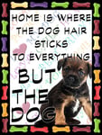 SHAWPRINT Border Terrier Puppy Dog Fridge Magnet 100mm x 75mm HOME IS WHERE THE DOG HAIR STICKS TO EVERYTHING BUT THE DOG Novelty Gift