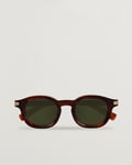 Zegna EZ0229 Sunglasses Dark Havana/Green