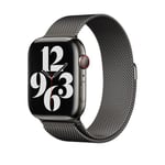 Apple 45mm Graphite Milanese Loop