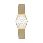 Skagen Grenen Montre pour Femmes, Mouvement à Énergie Solaire, Bracelet en Acier Inoxydable Ou en Cuir, Ton Or et Blanc, 26Mm