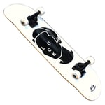 Adultes Débutants Skateboards 31x8 Pouces Pont Complet Double Kick Skate Board pour Enfants Garçons Filles Adolescents Jeunes 7 Plis Érable ABEC-7 Roulement 99A Roue Dure