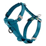 Kurgo Harnais Chien pour la Voiture Tru-Fit, avec Anneau Avant Anti-Traction, Ceinture de Chien Incluse, Turquoise foncé, XL