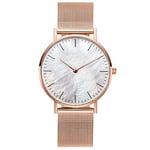 Basfur Dress Watch Fe-Montre-063-01