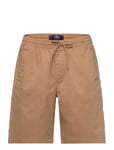 Hco. Guys Shorts Brown Hollister