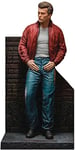 Star Ace Toys James Dean statuette 1/4 Superb My Favourite Legend Series James Dean (Red jacket) 52 cm