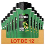 Axe Gel Douche Homme 5 en 1 Lendemain Difficille, Parfum d'Agrumes, 24H Hydratant, 87% D'Ingrédients d'Origine Naturelle - Lot de 12 de 250ml