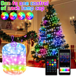 USB Led Strip Light Bluetooth Controller Christmas Tree Light 5M 50Light