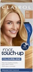 Clairol Root Touch-Up Permanent 1 count (Pack of 1), 8G Medium Golden Blonde