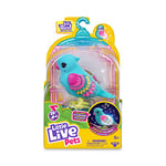 Little Live Pets - Talking Birds Tweet Twinkle, Interactive Pet with 20+ Sounds and Reactions, Repeat What You Say, Toy for Boys and Girls Ages 5 Years Old Famous (LPB14200)