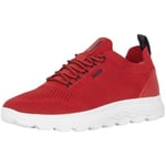 Baskets basses Geox  Baskets Homme  Ref 56317 Rouge