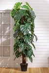 Artificial Monstera Plant Large Greenery Home Decor with Pot