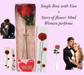 Valentine's Day Gift Set Wife Girlfriend Present Single Rose With Vase Perfume