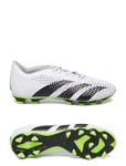 Adidas Performance Predator Accuracy.4 Fxg Vit