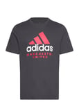 Adidas Performance Manchester United Seasonal Graphic T-Shirt Svart