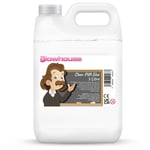 Colle PVA transparente lavable de qualité supérieure, 5 litres, colle écologique pour artisanat, colle scolaire, colle visqueuse (5 litres)