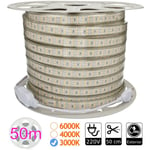 Jandei - Bande led 220V triple 3000K 276 led mètre bobine 50m extérieur Coupe 50 cm