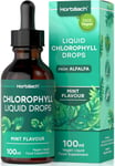 Liquid Chlorophyll Drops for Water Extracted from Alfalfa | 100ml - 3+ Months |