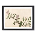 Flowers Of The Four Seasons Vol.2 By Shen Zhou Asian Japanese Framed Wall Art Print, Ready to Hang Picture for Living Room Bedroom Home Office Décor, Black A4 (34 x 25 cm)