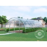 Serre polycarbonate, Strong nova 32m², 4x8m, Argent