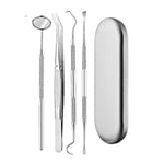 Professional dental hygiene kit - 4 parts stainless steel Silver - Julklappa silver