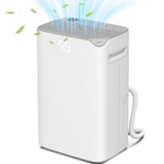 HOMCOM 20L/Day Small Dehumidifier for Home Damp Laundry, with 24H Timer