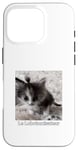 Coque pour iPhone 16 Pro evillarry larry chat meme brainrot lobotomisateur mastermind