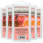 Yankee Candle Wax Melts Scented Home Room Fragrance Coral Peony 75g x5