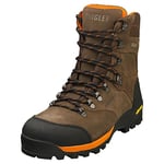 Aigle Homme ALTAVIO Hi GTX Chaussure de randonnée, Sepia, 48 EU