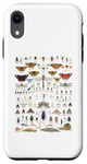 iPhone XR Insects Collection Species Bugs vintage Chart Entomology Case