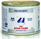 Royal Canin Veterinary Diet Recovery tölkki 195g