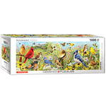 Eurographics 60105338 Jardin Oiseaux puzzle, différents - version anglaise