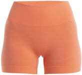 Icebreaker ZoneKnit Seamless Shorts W'stang L