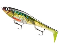 Rapala X-Rap Peto 14cm/39g RNR