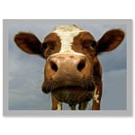 Funny Cow Farm Animal Close Up A4 Artwork Framed Wall Art Print