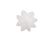 Watt & Veke Daisy Julestjerne hvit 60 cm