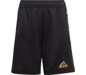 Tiro Summer JR shorts Barn BLACK/SEMSPA/SPARK/PU 140