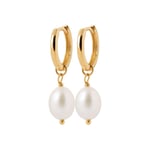 18ct Gold Vermeil Pearl Mini Hoop Huggie Earrings