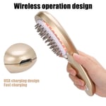 Electric Massage Anti Hair Loss Comb Light Therapy Scalp Treatment Brush BLW