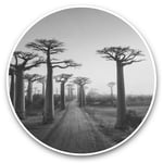 2 x Vinyl Stickers 20cm (bw) - Baobab Trees Madagascar Tree  #38902