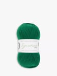 West Yorkshire Spinners Signature 4 Ply Yarn, 100g