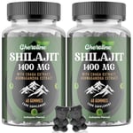 Shilajit Gummies 1400mg, Pure Himalayan Shilajit with Chaga and Ashwagandha, 85+ Trace Minerals, Rich in Fulvic Acid, for Energy & Immune, Authentic Flavor, Sugar-Free, Vegan (60 Count (Pack of 2))