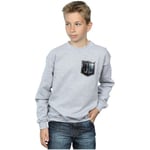 Sweat-shirt enfant Dc Comics  Justice League