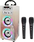 DYNASONIC Karaoke Machine with 2 Microphones, Portable Bluetooth Speaker with Lights, USB and SD Reader, Gift for Children (Model 19)